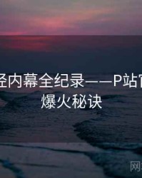 多维财经内幕全纪录——P站官网入口爆火秘诀