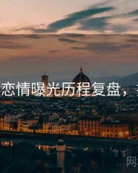 麻豆app恋情曝光历程复盘，揭秘真相