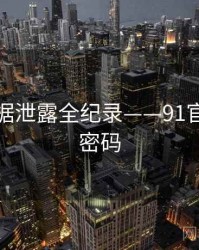 详尽数据泄露全纪录——91官网流量密码