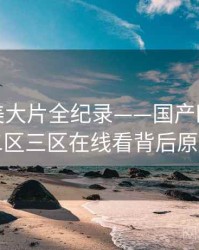 独家欧美大片全纪录——国产欧美一区二区三区在线看背后原因