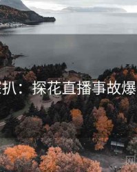 独家深扒：探花直播事故爆火秘诀