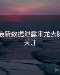 91爆料最新数据泄露来龙去脉，值得关注