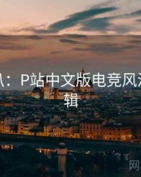 独家深扒：P站中文版电竞风波热度逻辑